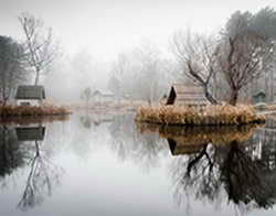 К чему снится каша?